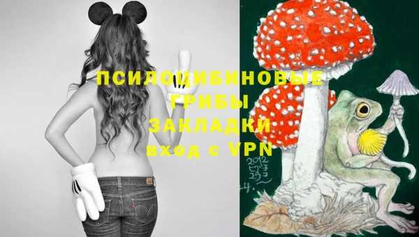 МДПВ Аркадак
