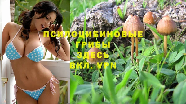 МДПВ Аркадак
