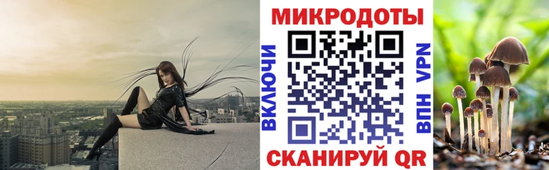 Галлюциногенные грибы MAGIC MUSHROOMS  Купить закладки  Томмот 